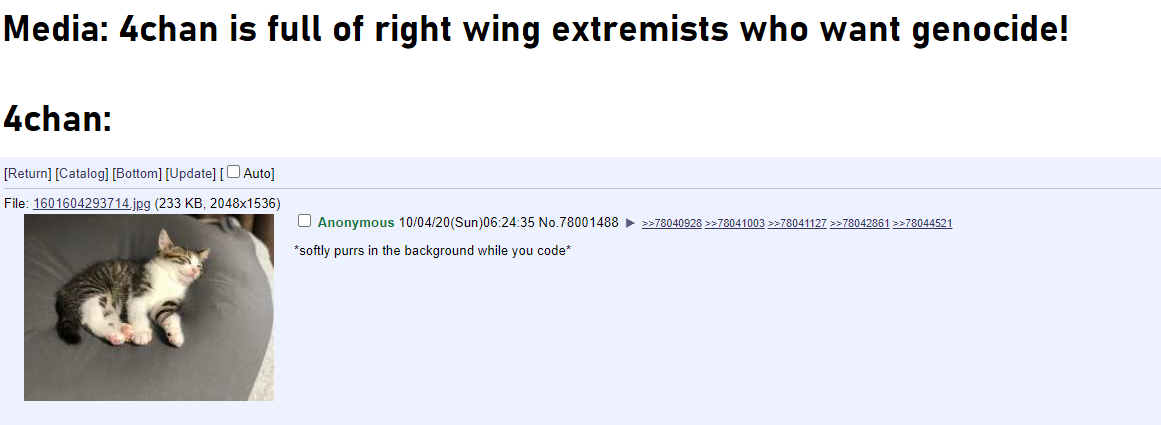 Kittens are a white supremacist symbol now