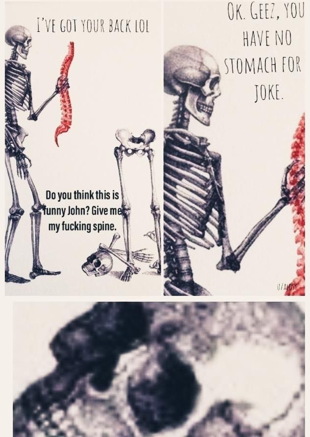 Looks like he took his friend's funny bone too
