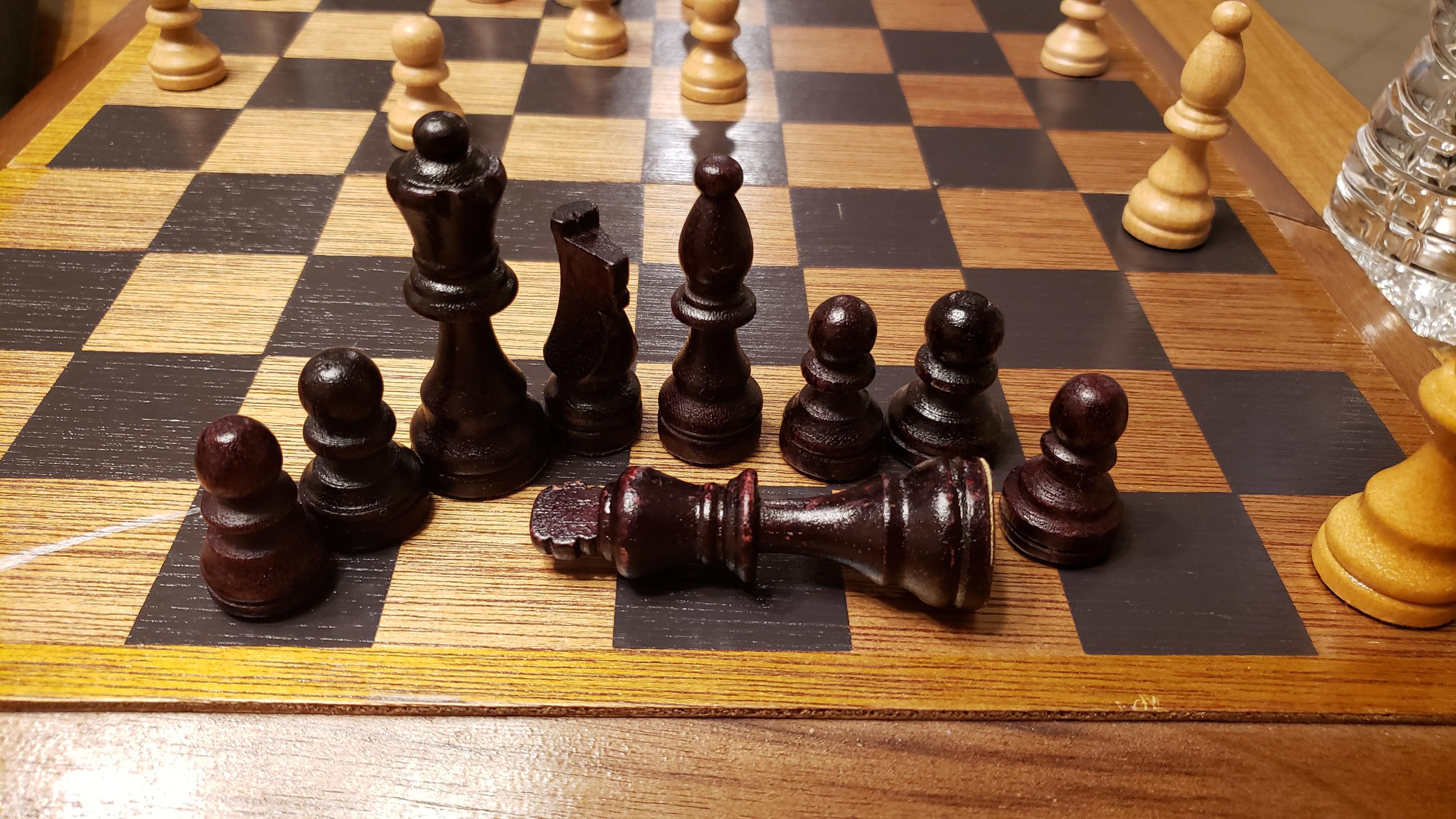 My wife held a small funeral for her king after losing her first game of chess.