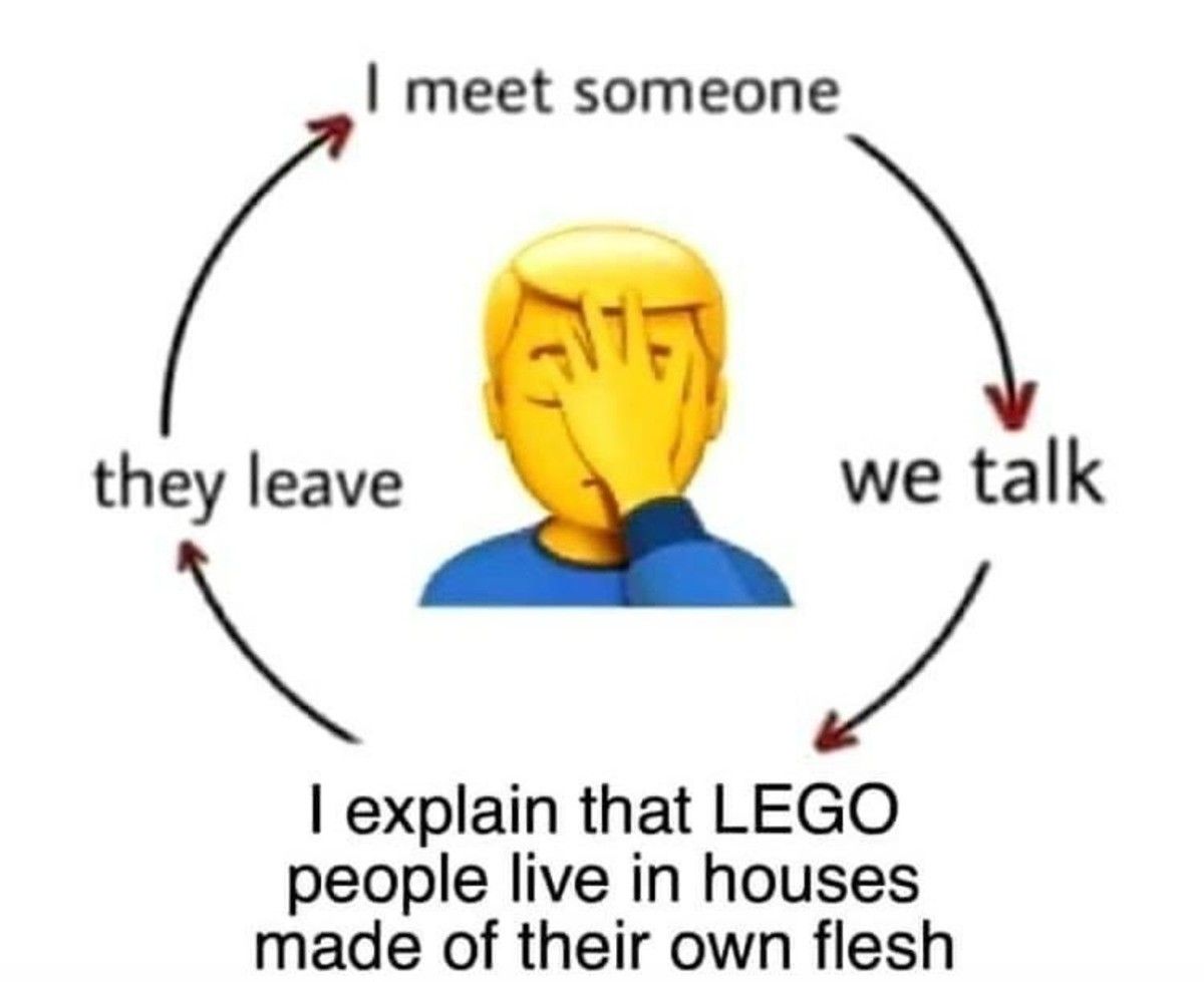They all think that lego people are made out of house