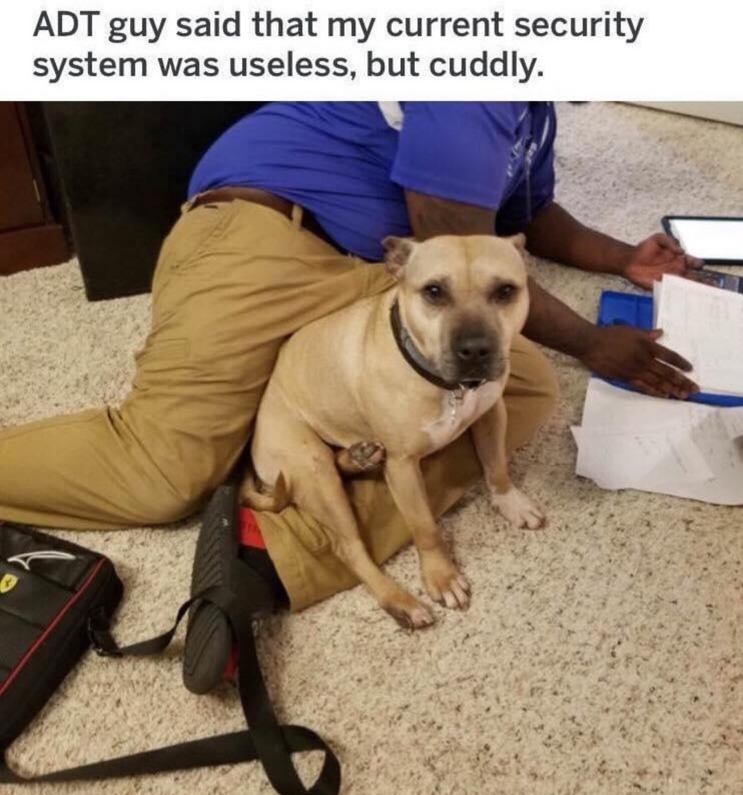 Cute boi