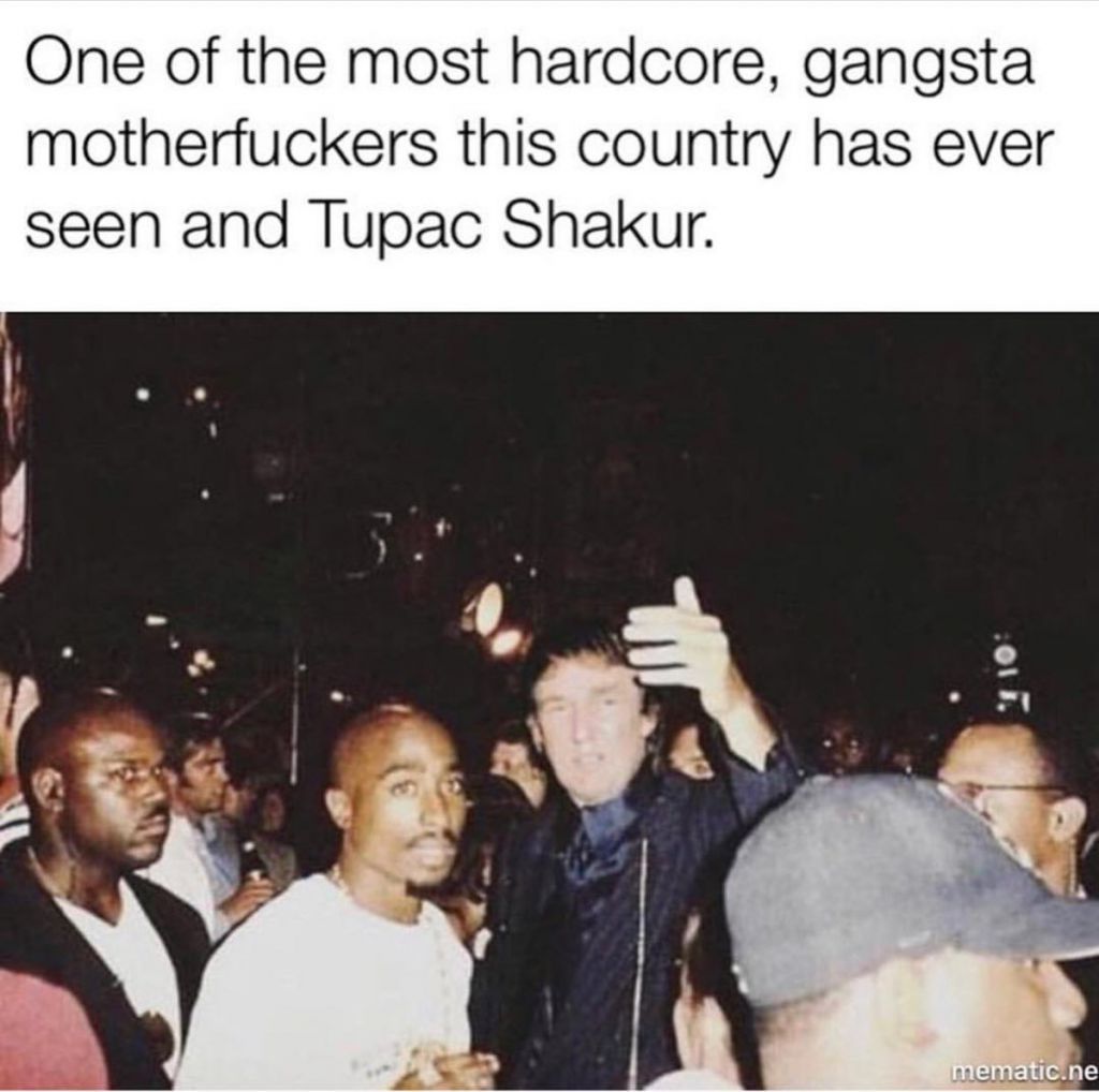 Gansta
