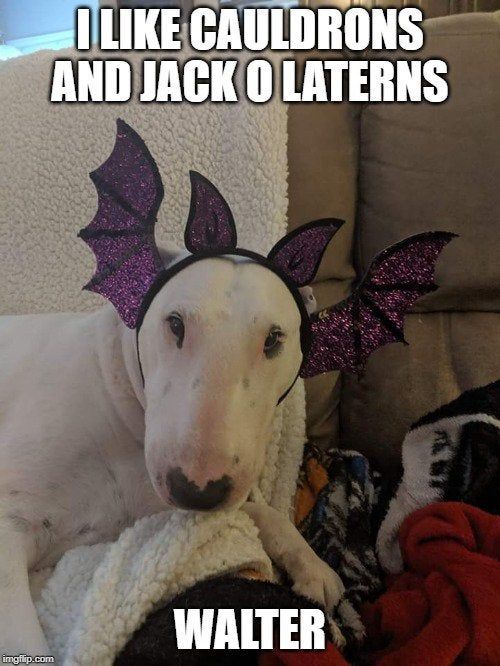 #spooktober!
