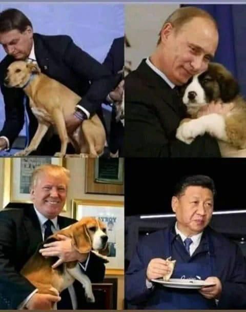 It's a dog eats dog world