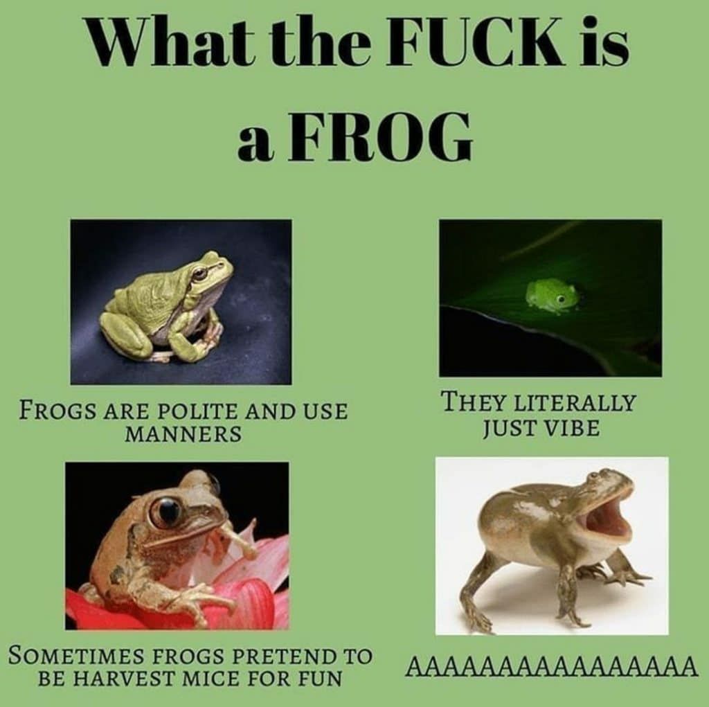 phwog