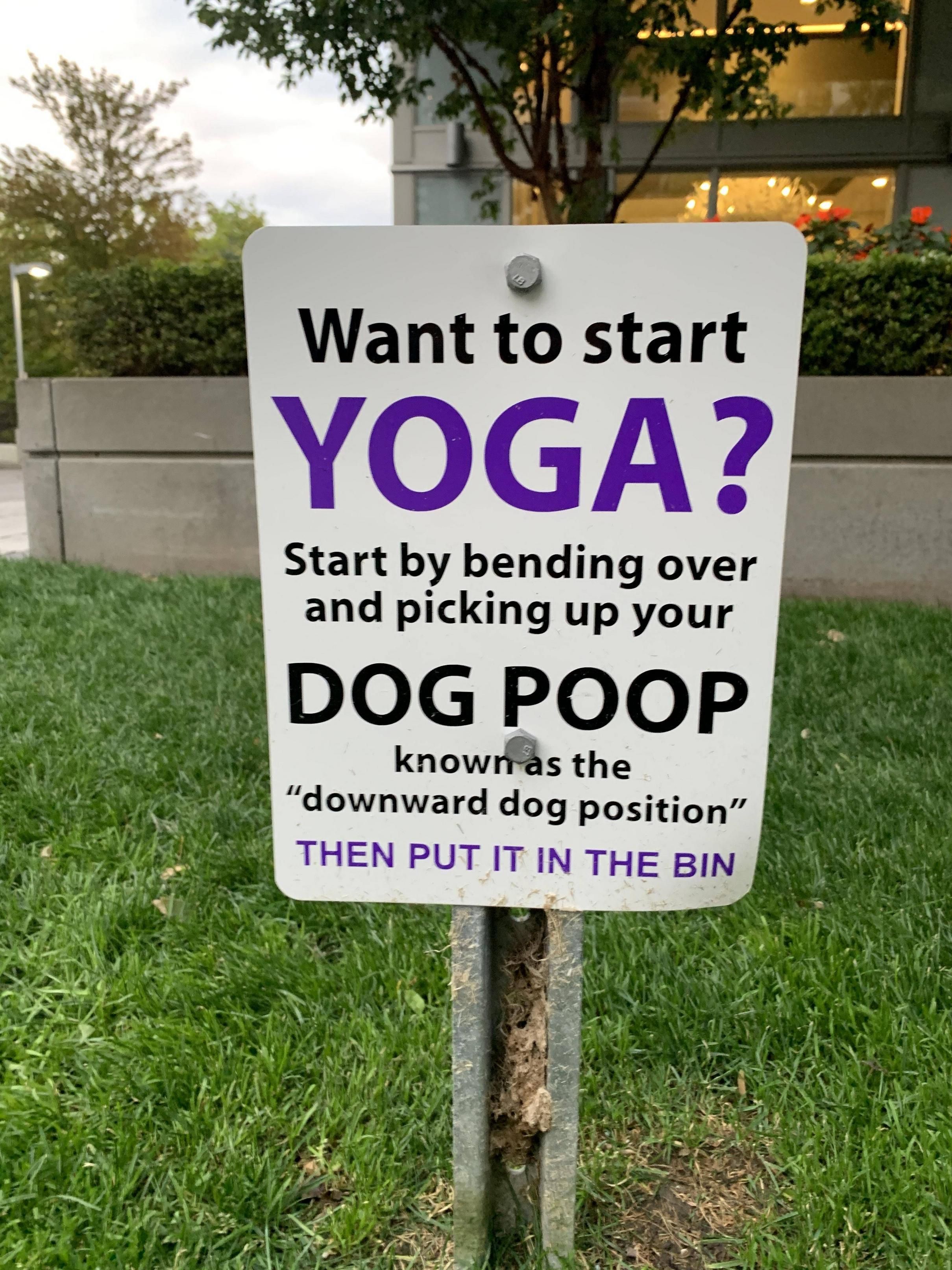 Yoga Poo