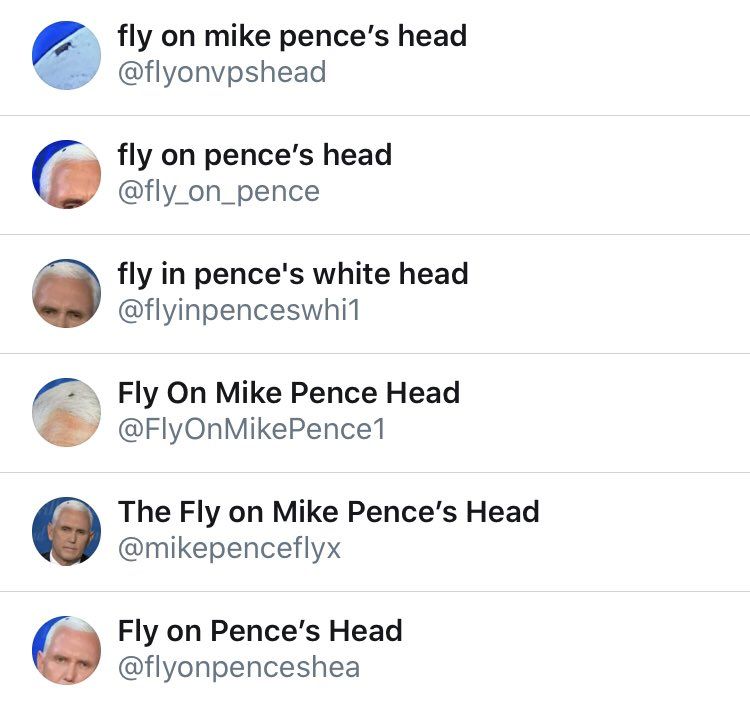 fly