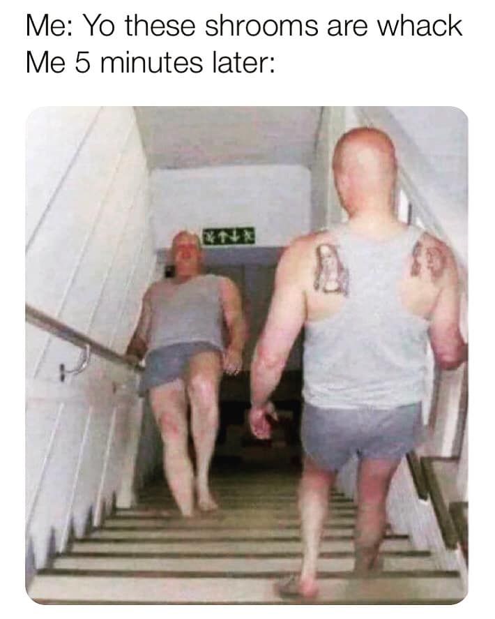 §   breh   §