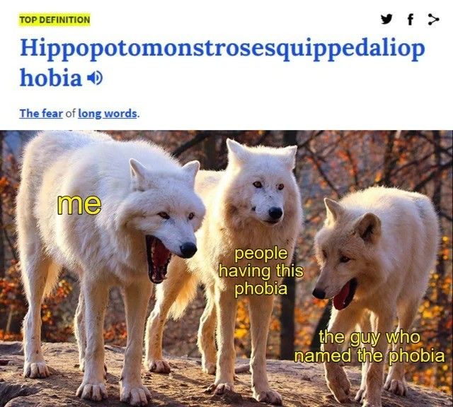This only thing we have to fear is hippopotomonstrosesquipedaliophobia