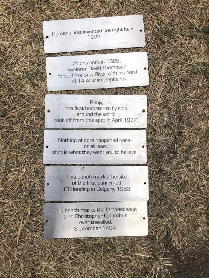 Someone installed these plaques on a bunch of benches, they got taken down by the city today but I think they're priceless.