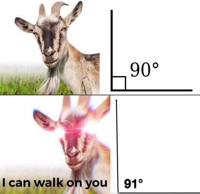 Goats are obtuse creatures