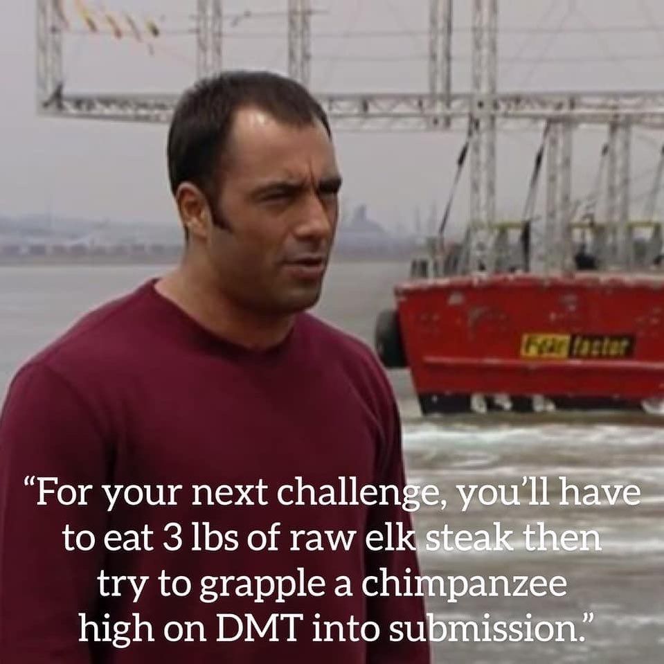 So this is The Joe Rogan Experience