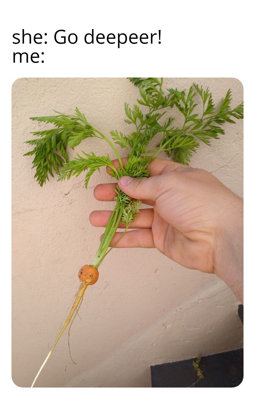 Carrotposting. It gets like that on this cold