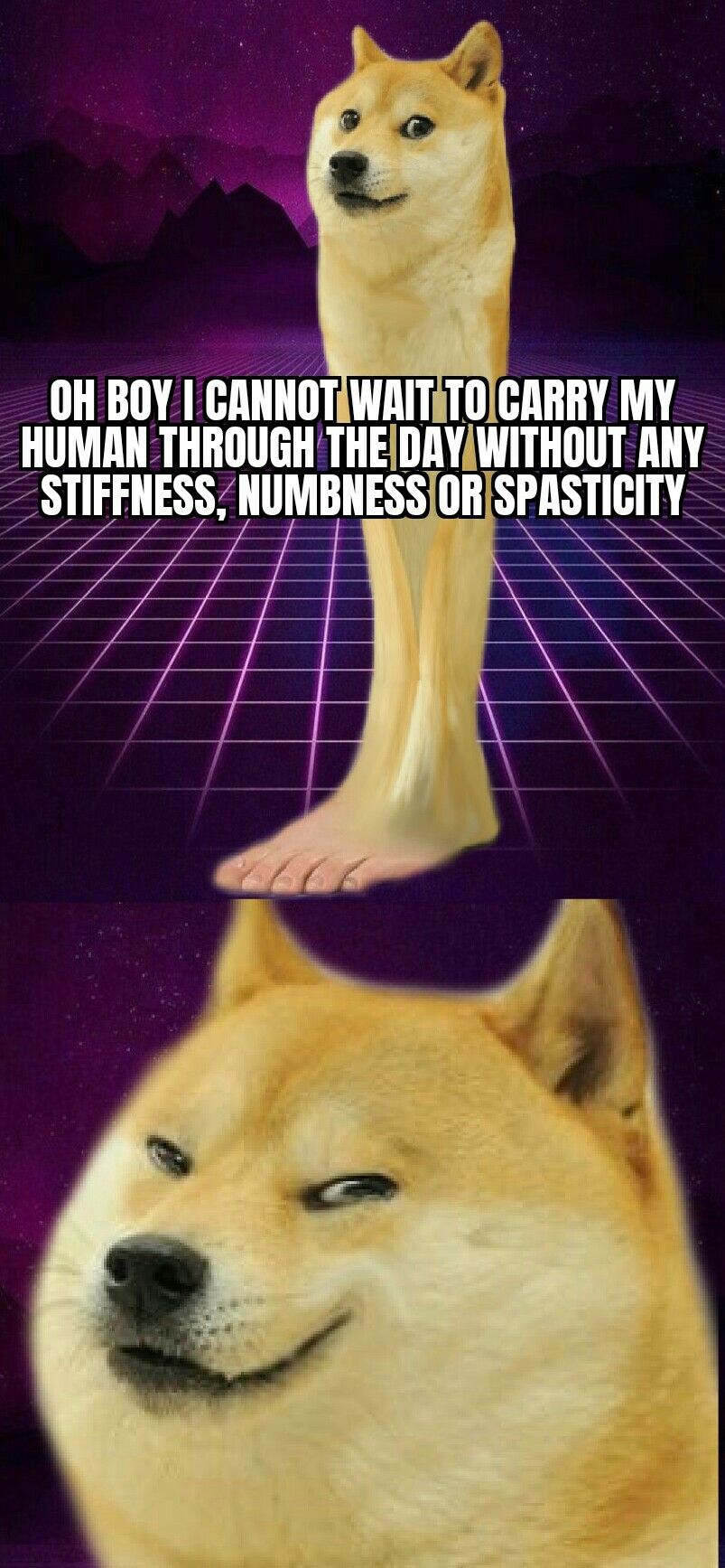 le memeltiple sclerosis posting has arrived