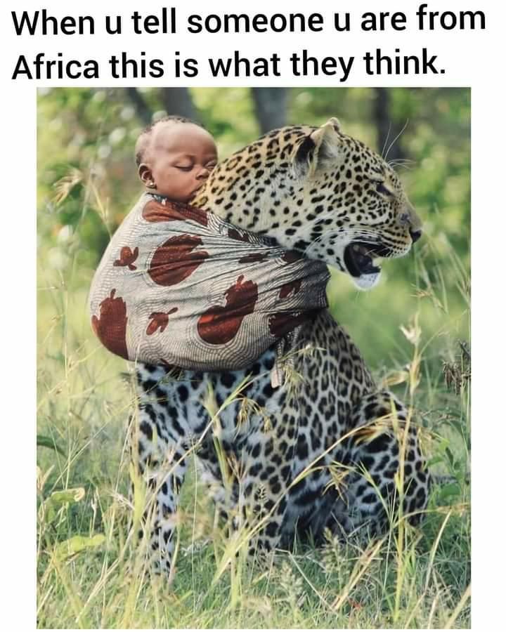 Everytime I tell people I'm from africa this is what they think.