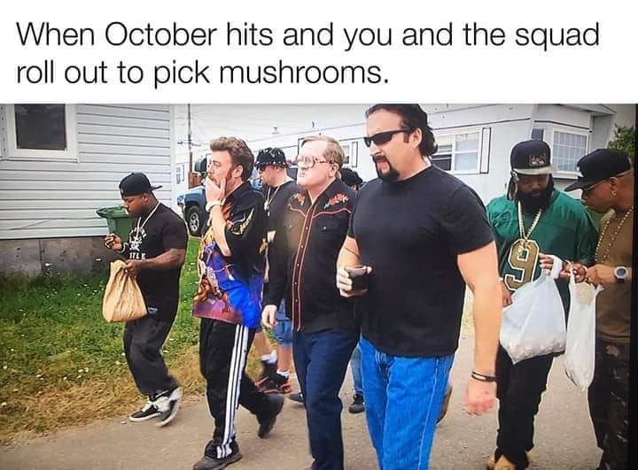 this is a great squad brehs