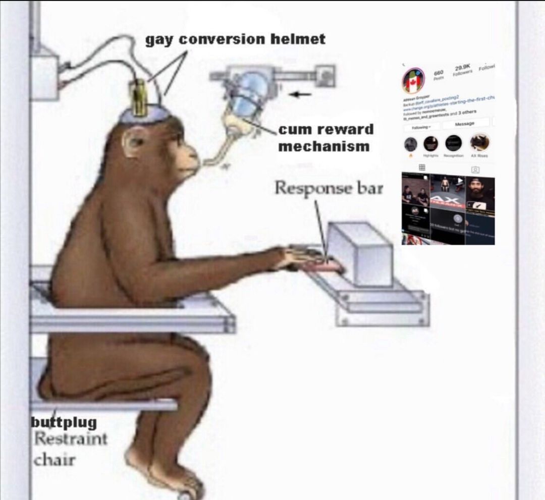 just keep liking every post