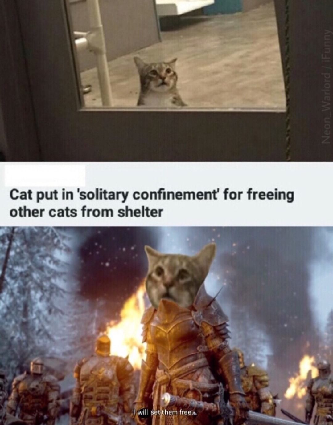 They are my people
