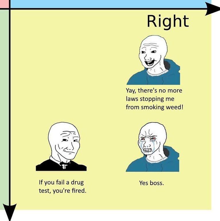 capitalism is hierarchical ; embrace the mutualist path breh