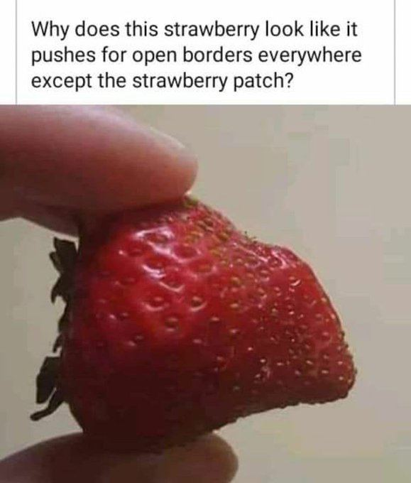 (((fruit))) posting