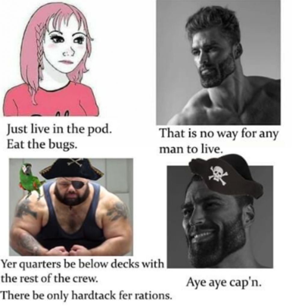 A Pirates life for me