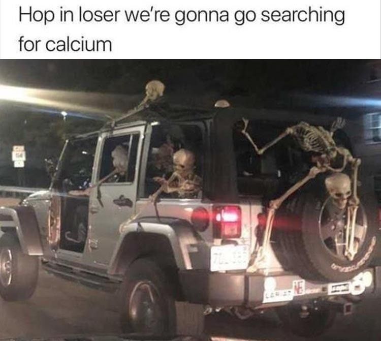 Bringing the Bone Zone to you