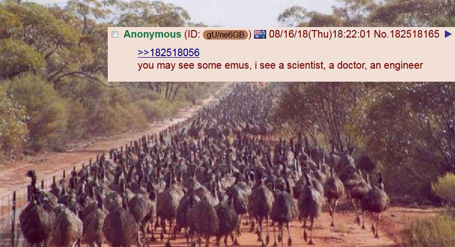 It’s a fooking EMU