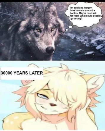 it's only a matter of time