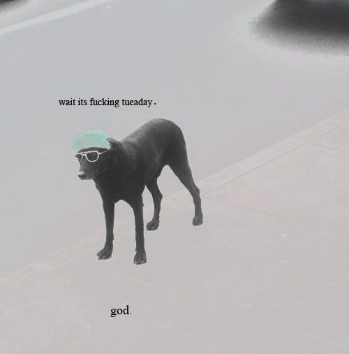 tue