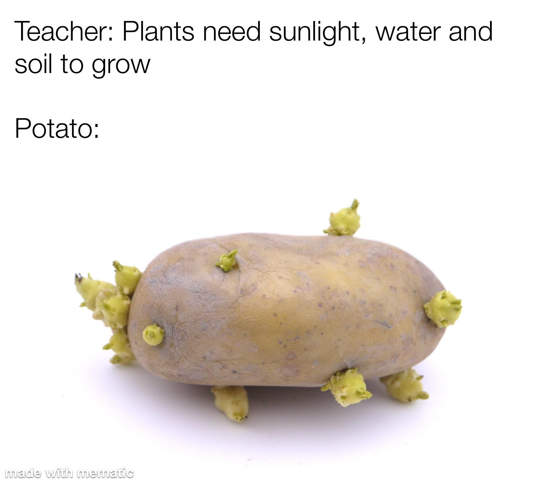 Potato, po-tah-to