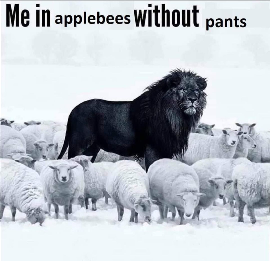 they try to stop me but they can not