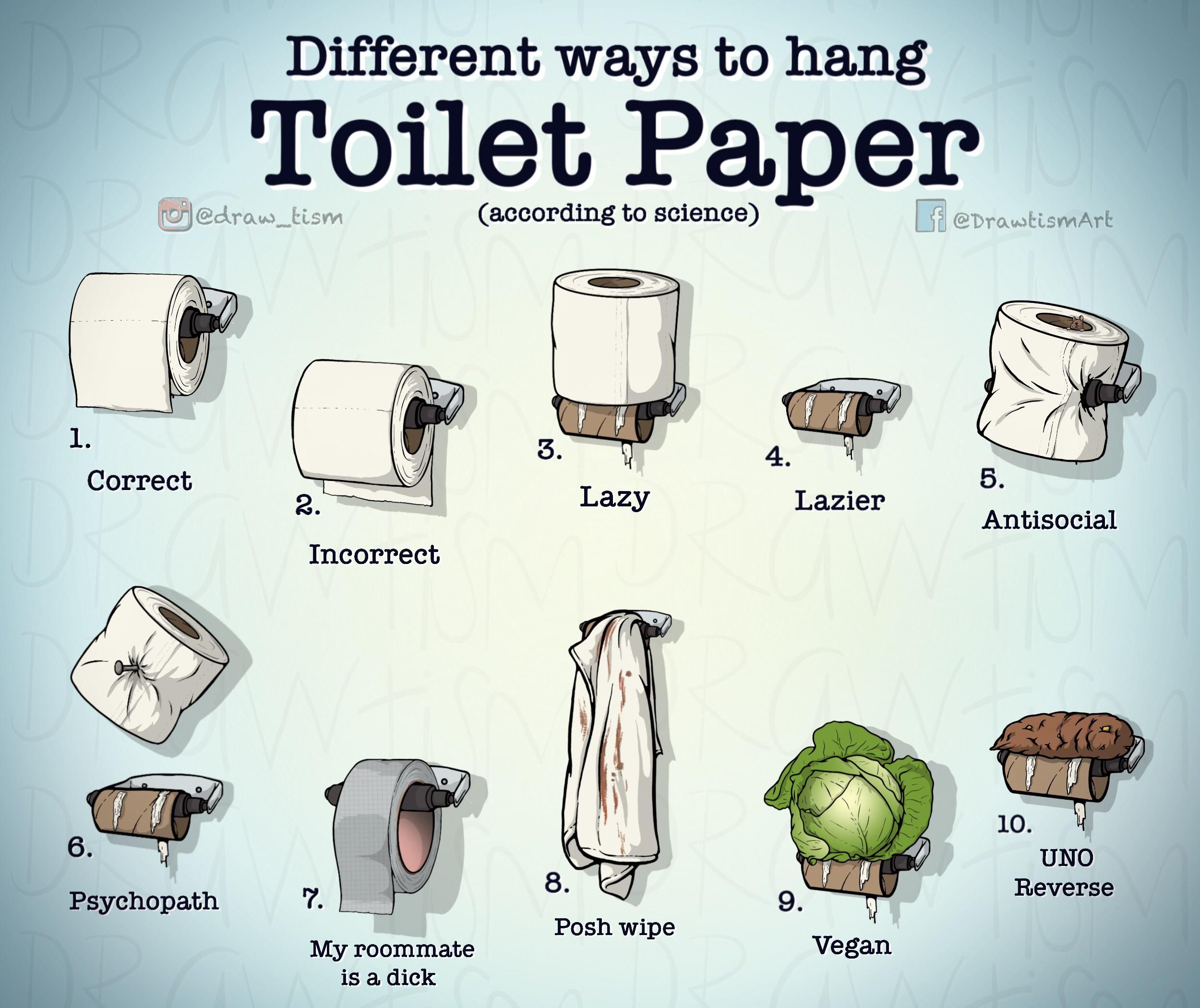 Toilet Paper science