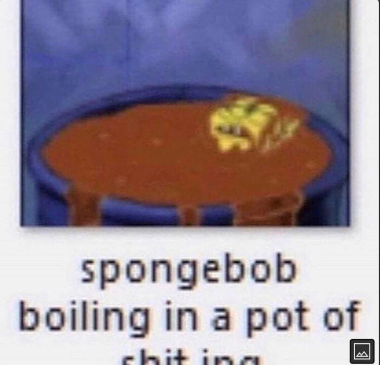 spnog