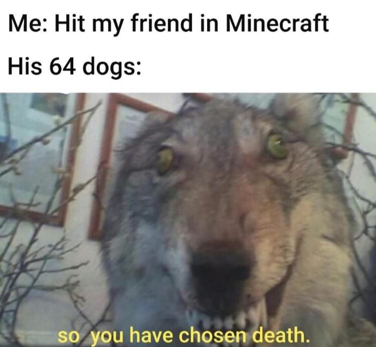 Sorry I love this meme