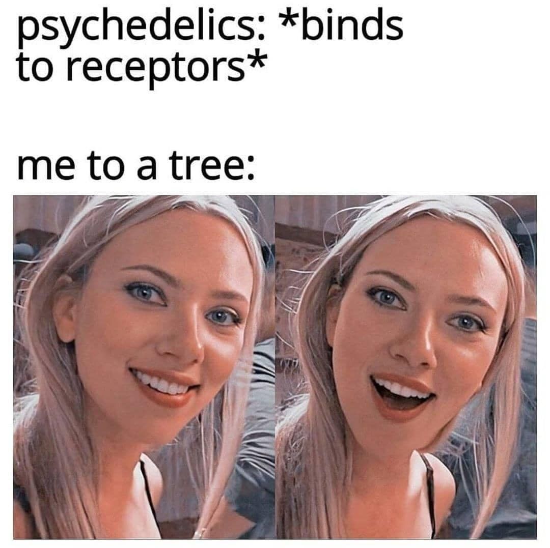 trees are brehs breh