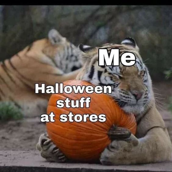 Happy spooky month!