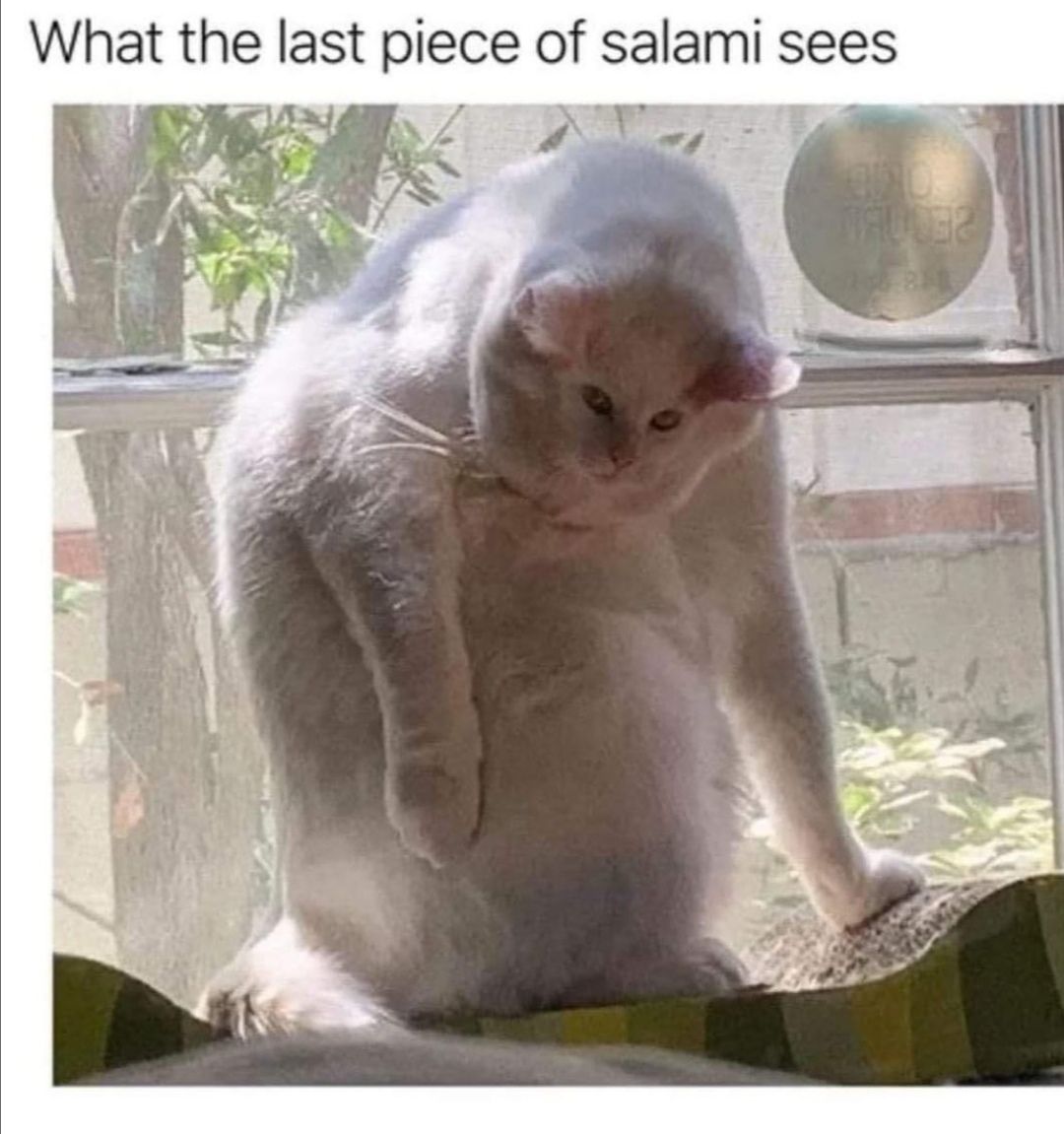Consume salami