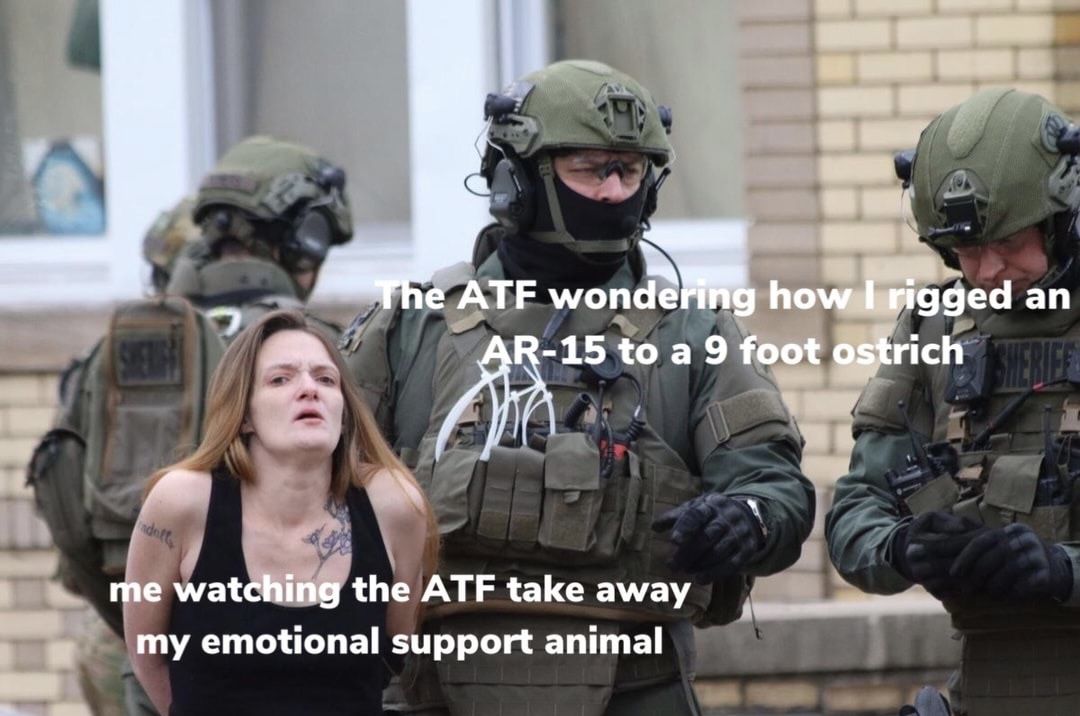 Not my support ostrich