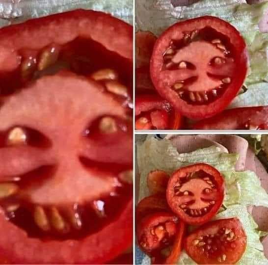 Scary Tomato