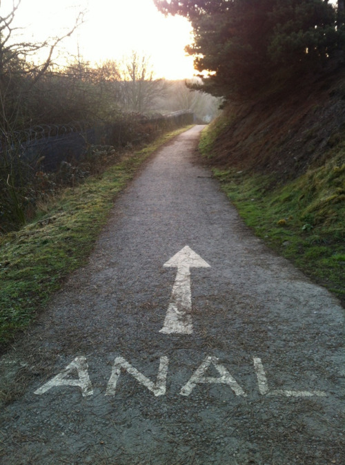 In case you're lost