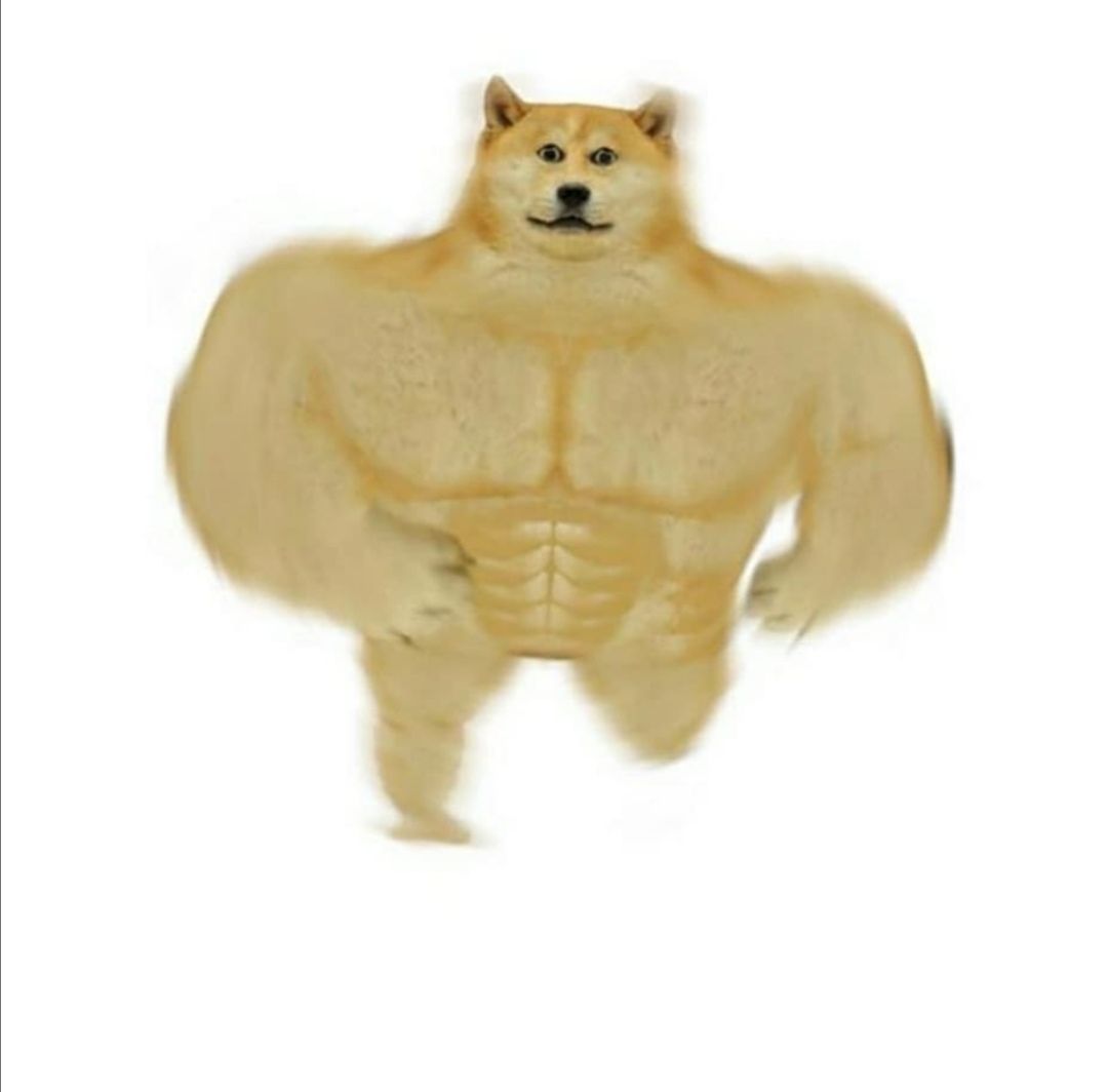 DON'T RUN AWAY