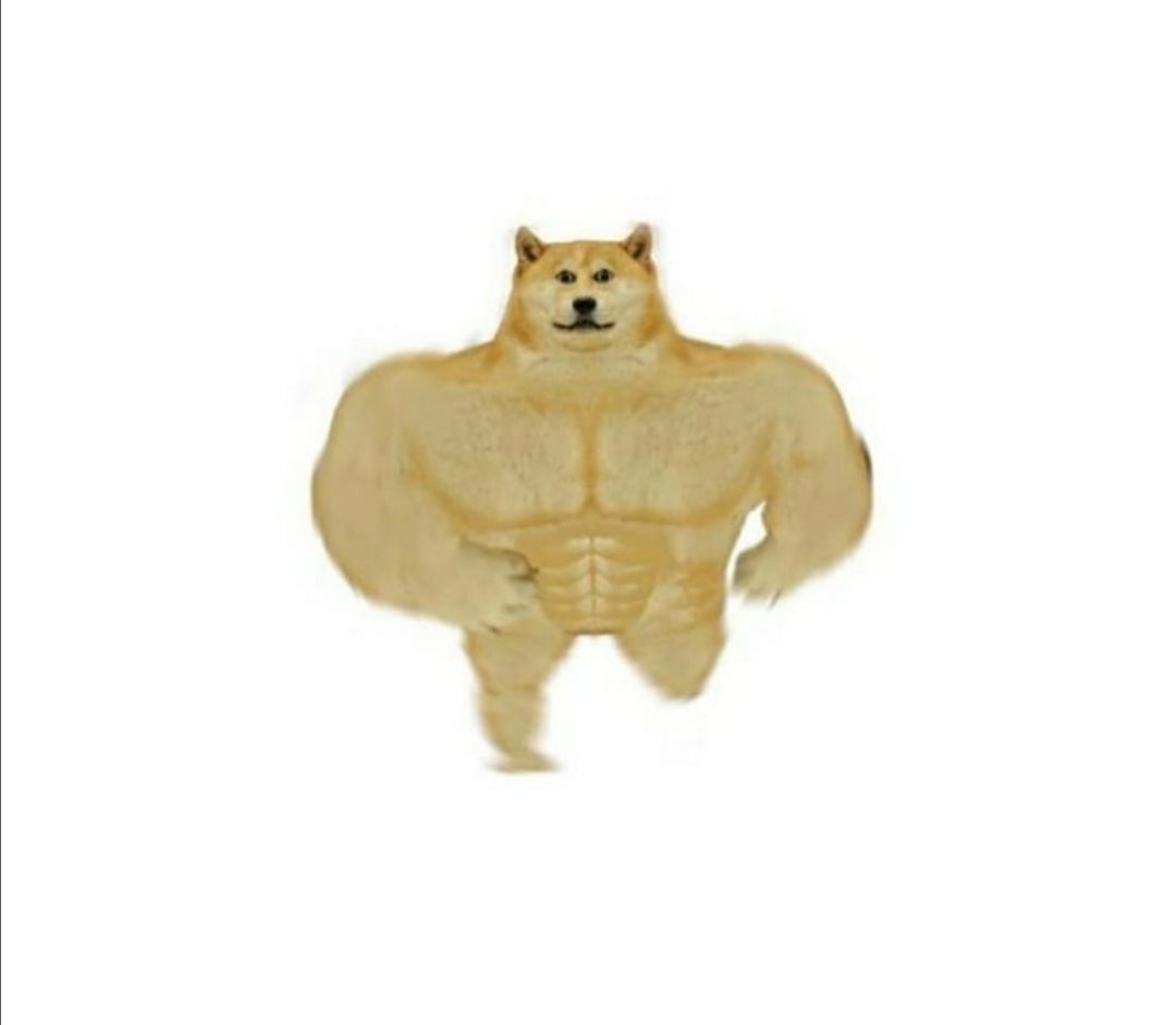 WHY ARE YOU RUNNING