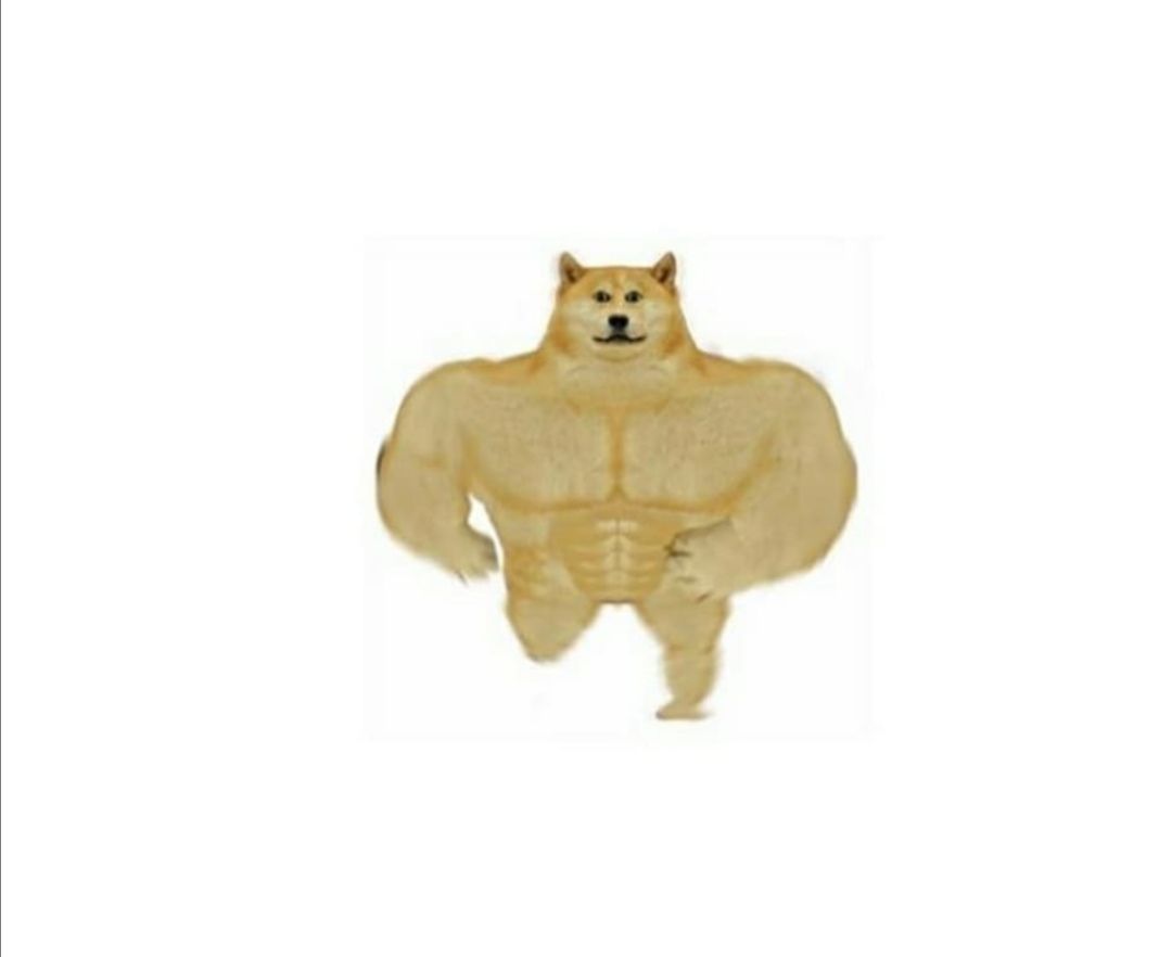 YOU ARE NEVER SAFE