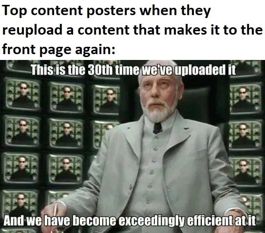 There is no "re" there is only "we"