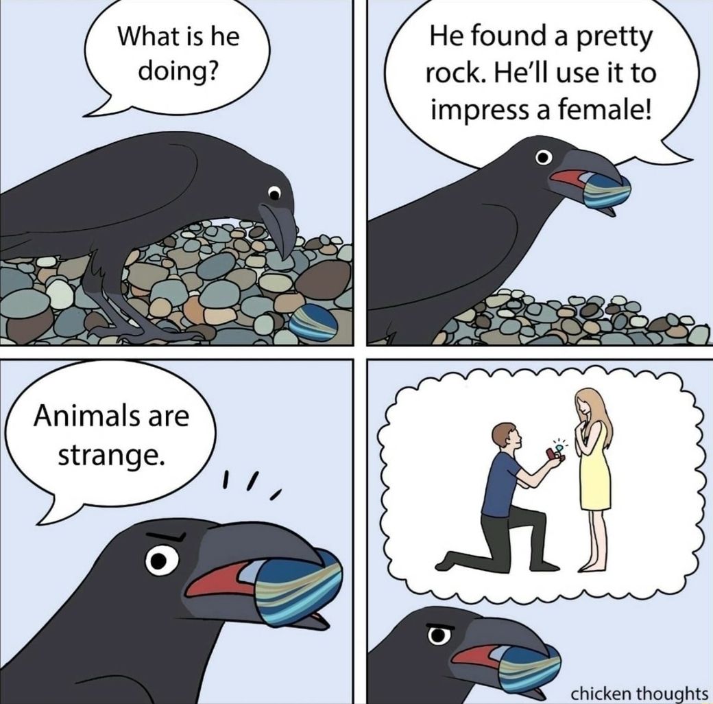We are just animals