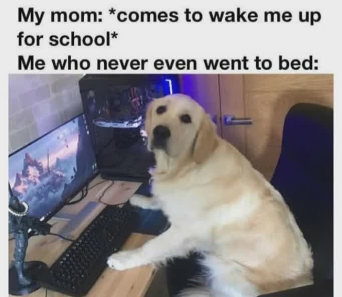 I'm not going