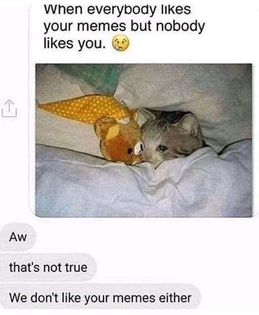 ‍ ‍ ‍;(