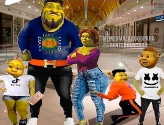 average tik tok family