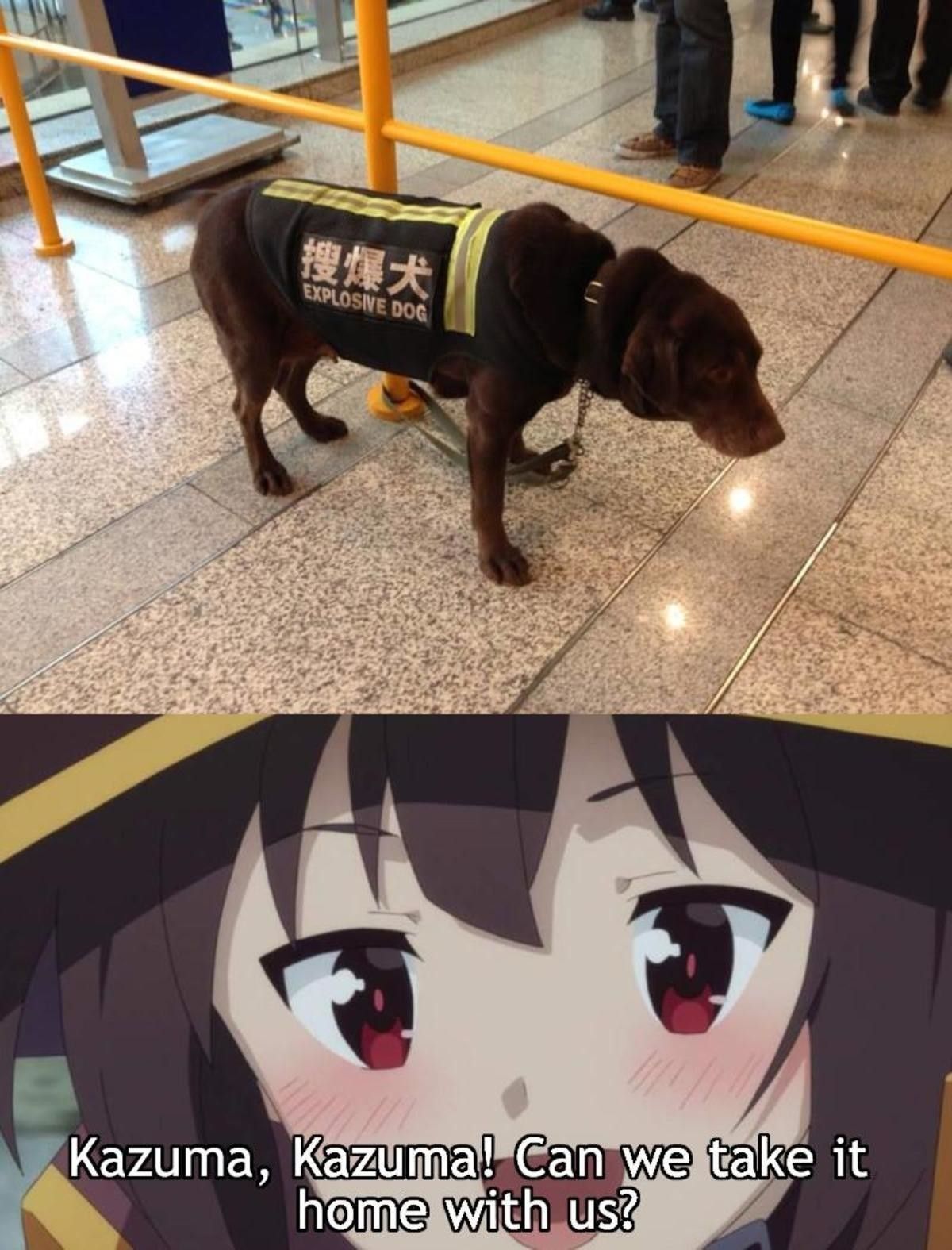 dont get close