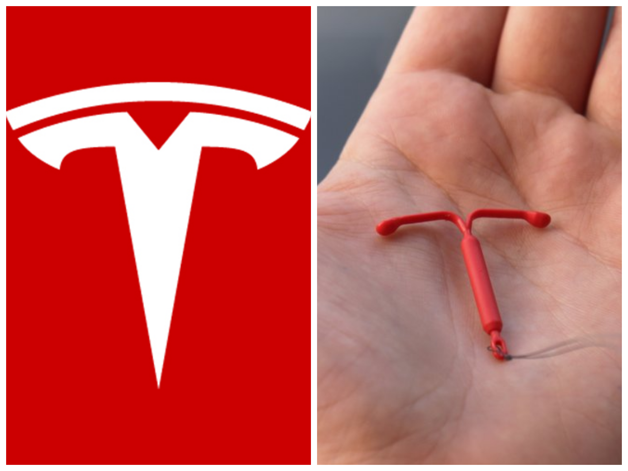 Ya'll comparing the Tesla logo to a cat's nose and I'm over here like "bro..."